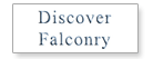 Discover Falconry
